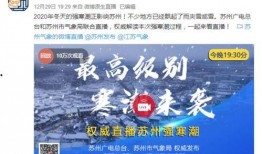 苏州新闻爆料号码,揭秘最新事件背后的真相