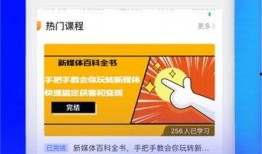 短视频创业马上爆料,马上爆料，揭秘热门项目背后的秘密