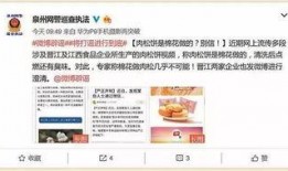 肉松饼爆料视频大全集,揭秘美食背后的故事与秘密