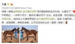 马爸爸内部爆料视频播放,视频播放背后的惊人真相