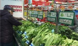 石家庄菜价最新爆料,市民餐桌成本几何？