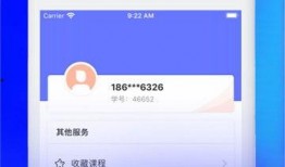 短视频创业马上爆料,马上爆料，揭秘热门项目背后的秘密