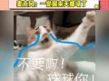 娱乐吃瓜的直播,揭秘娱乐吃瓜界的热门事件与幕后故事