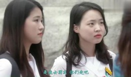 一对一韩国在线观看,沉浸式体验韩国文化之旅