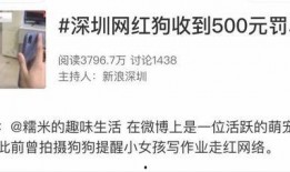 网红糯米爆料视频播放,揭秘网红视频播放背后的秘密