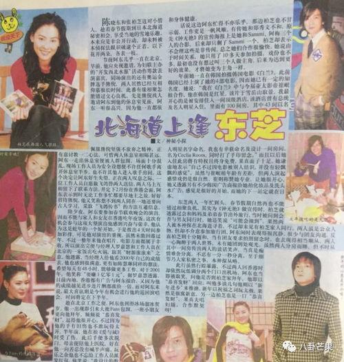 娱乐圈吃瓜的观后感